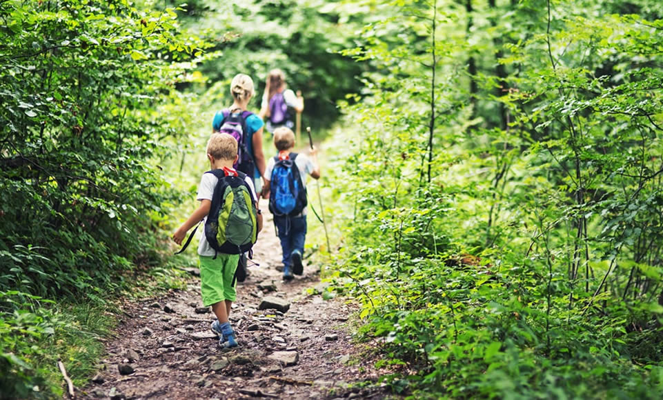 Exploring Nature with Your Child, in Your Own Backyard