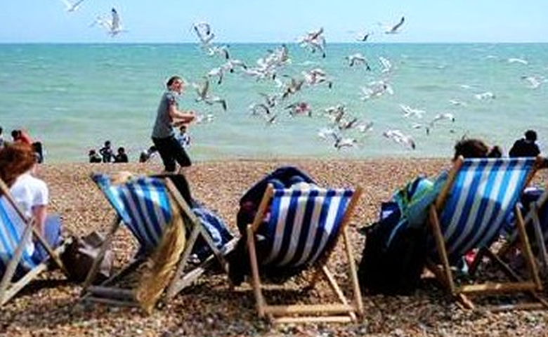 Seagulls Terrorize Tourists at Welsh Seaside Resort