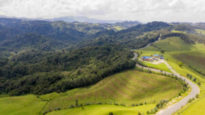 Gishwati Park of Rwanda
